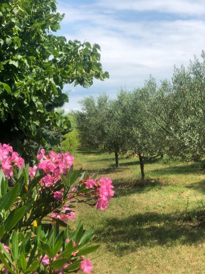 Apartma Nika Pobegi Exteriér fotografie