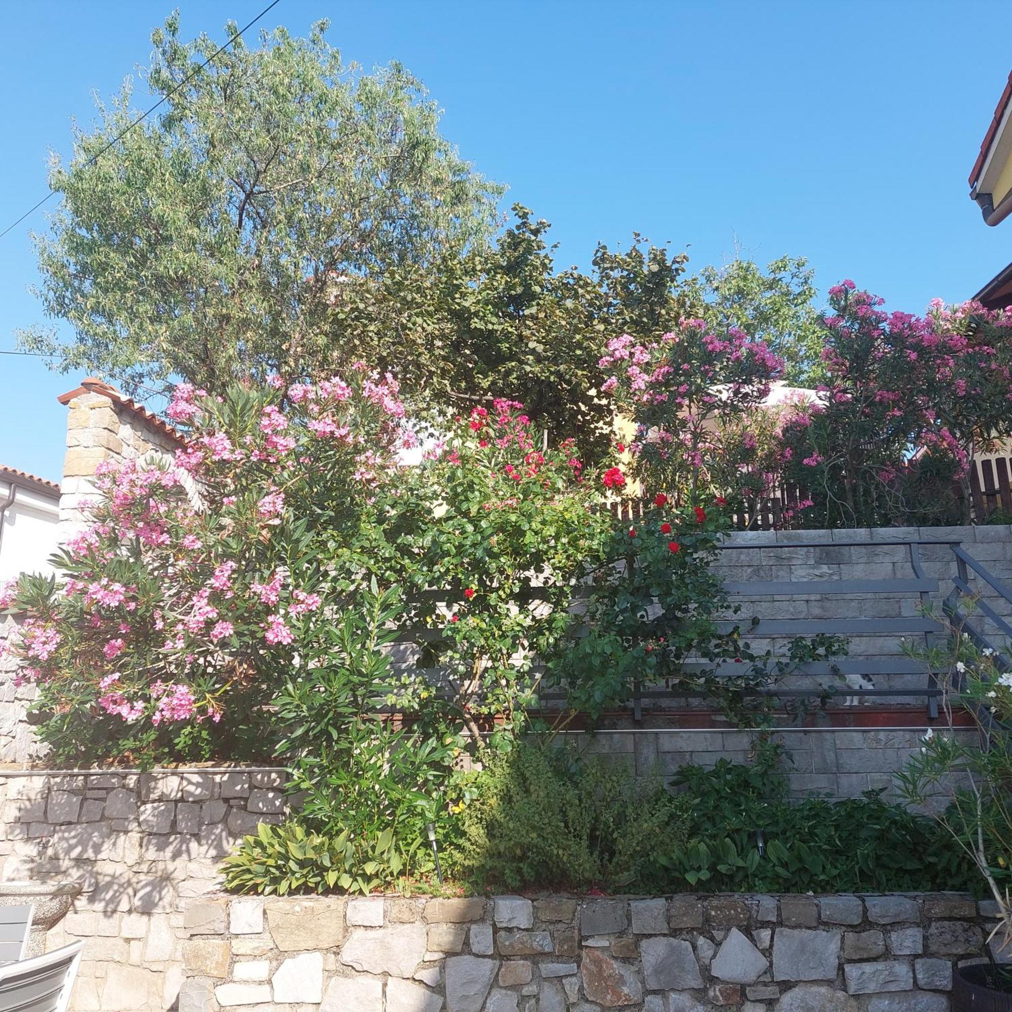 Apartma Nika Pobegi Exteriér fotografie